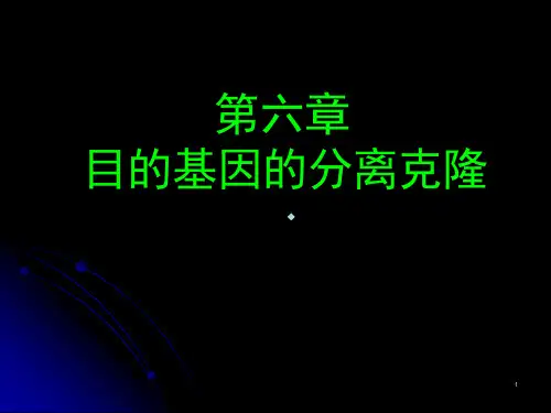 第6章目的基因的分离克隆(植物基因工程)课件