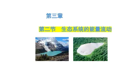 人教版(2019)选择性必修2   3-2生态系统的能量流动 课件 (24张)