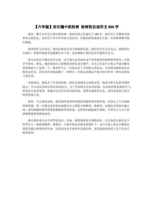 【六年级】岩石缝中的松树 松树的自述作文600字