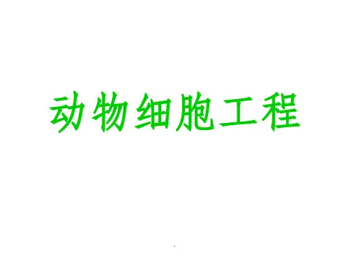 动物细胞工程(完整ppt课件