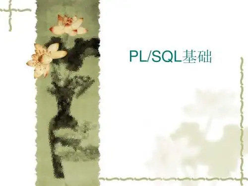 PL_SQL基础