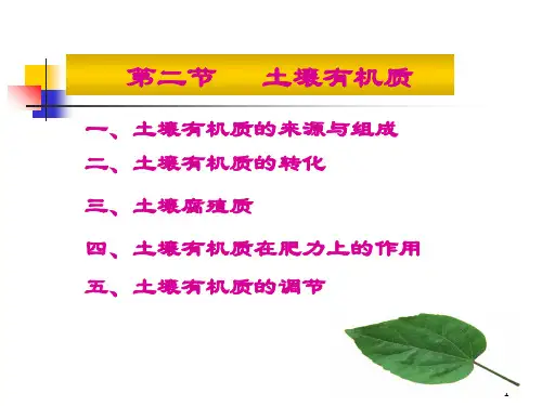 土壤有机质PPT课件