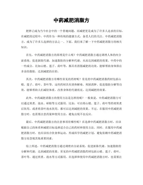 中药减肥消脂方