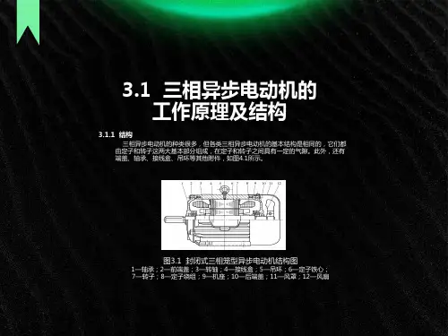 相异步电动机的工作原理及结构教学