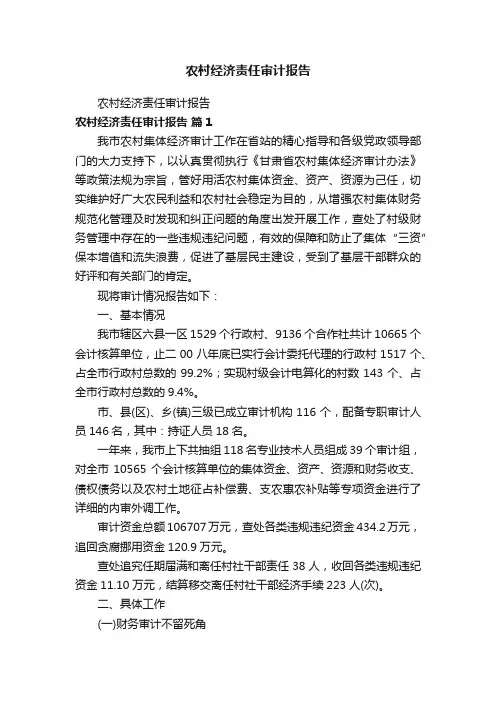 农村经济责任审计报告