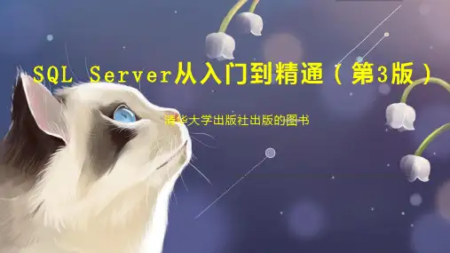SQL Server从入门到精通(第3版)