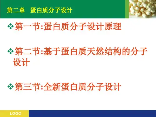 蛋白质设计