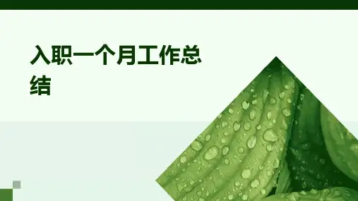 入职一个月工作总结PPT
