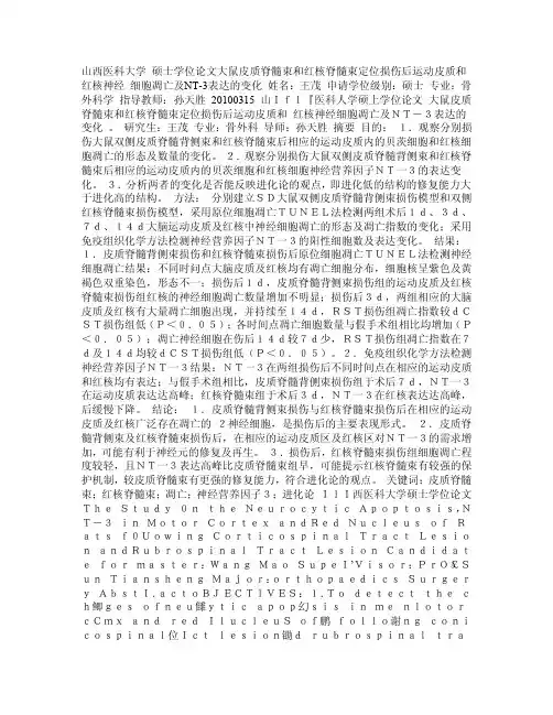 大鼠皮质脊髓束和红核脊髓束定位损伤后运动皮质和红核神经细胞