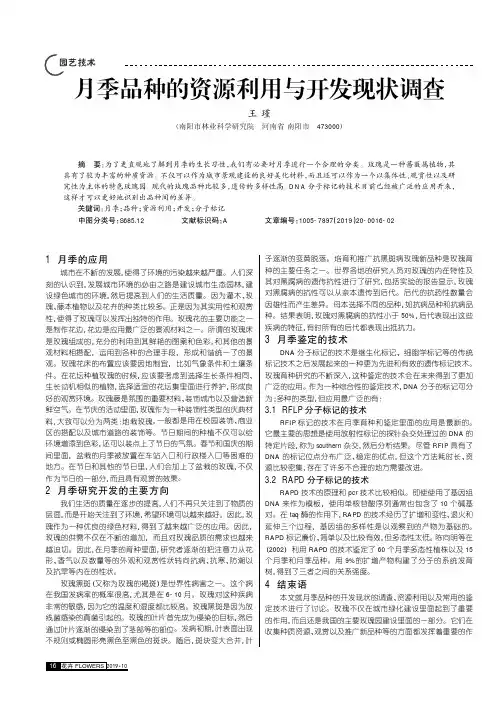 月季品种的资源利用与开发现状调查