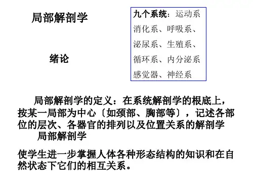 人体解剖之面部