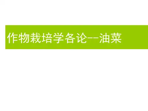 冬油菜高产栽培措施