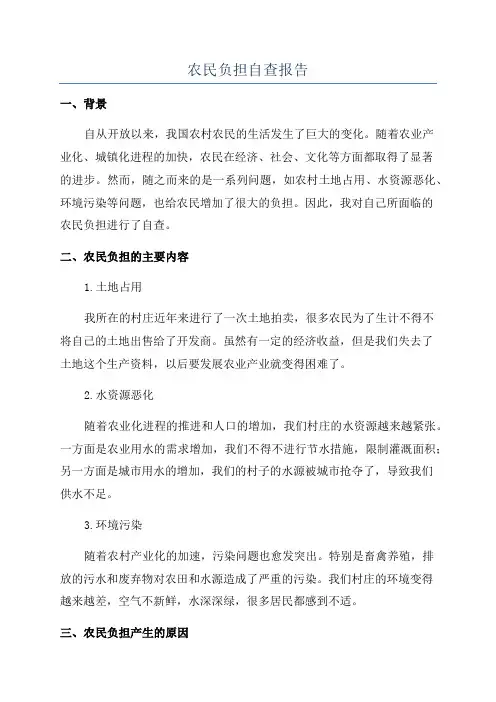 农民负担自查报告