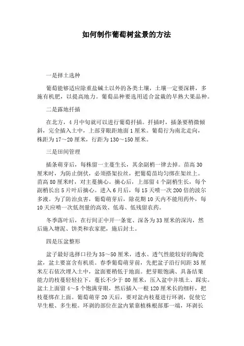如何制作葡萄树盆景的方法