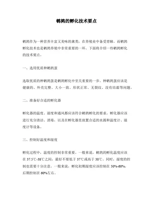 鹌鹑的孵化技术要点