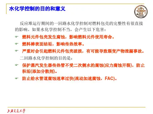 材料与水化学第讲核电厂一回路水化学