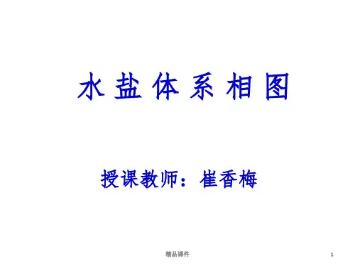 第一章 水盐相图ppt课件