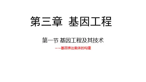 第三章 第一节 基因工程（基因表达载体的构建）