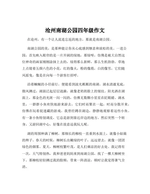 沧州南湖公园四年级作文