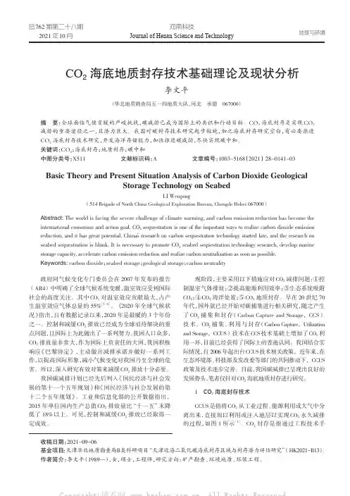 CO2海底地质封存技术基础理论及现状分析