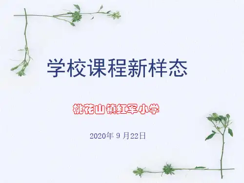 学校课程新样态