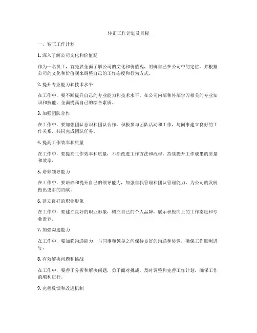转正工作计划及目标
