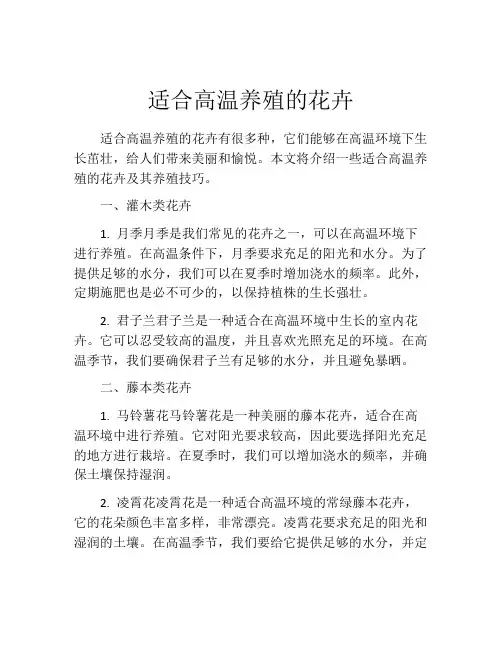 适合高温养殖的花卉