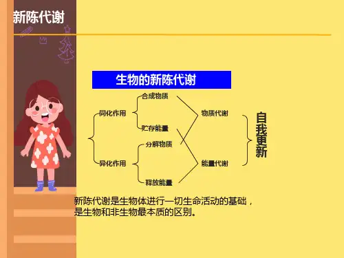 生物的新陈代谢