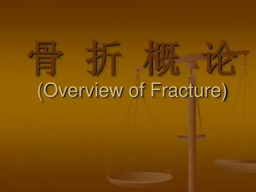 骨折概论