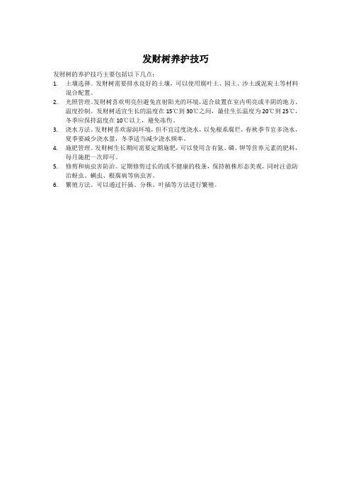 发财树养护技巧