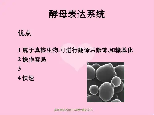 基因表达系统—大肠杆菌的定义
