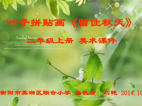 叶子拼贴画《留住秋天》