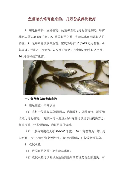鱼苗怎么培育出来的,几月份放养比较好