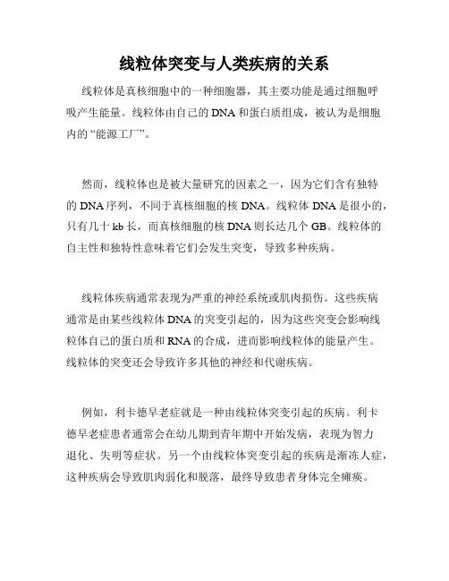 线粒体突变与人类疾病的关系