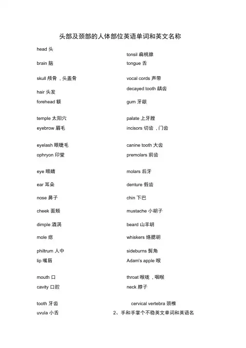 人体部位英文名称