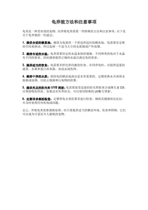 龟养殖方法和注意事项