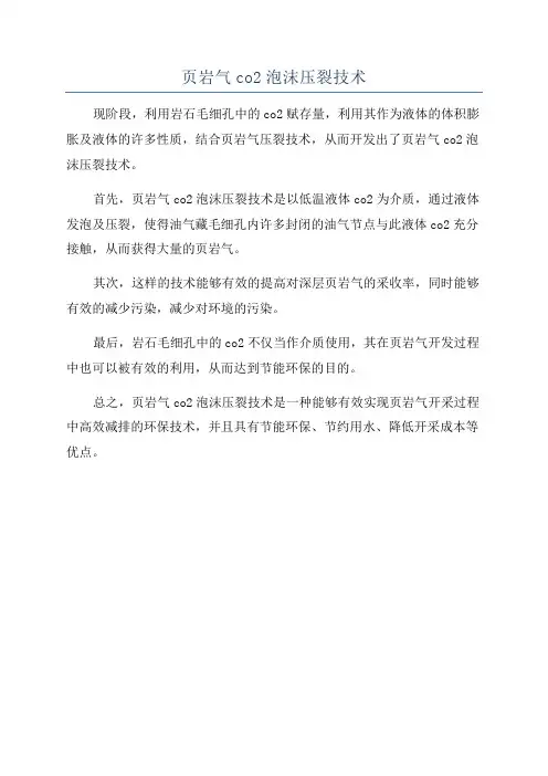 页岩气co2泡沫压裂技术