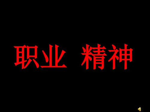 职业化精神