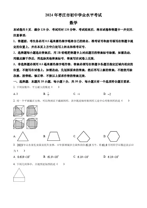 2024年山东省枣庄市中考数学真题试卷(含答案)