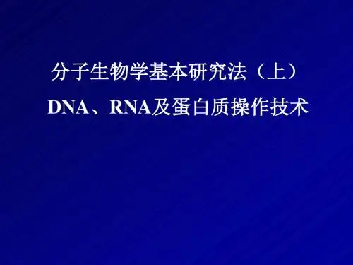 分子学：DNARNA技术 (2)