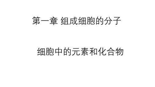 2.1 细胞中的元素和化合物  课件-人教版(2019)高一生物必修1