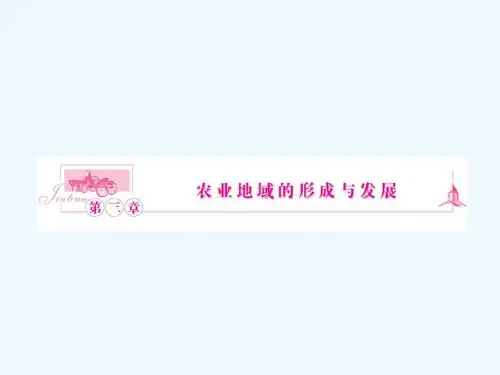 农业的区位选择复习 PPT