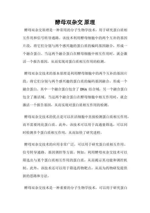 酵母双杂交 原理