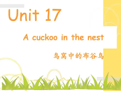 最新青少版新概念_2B_Unit17