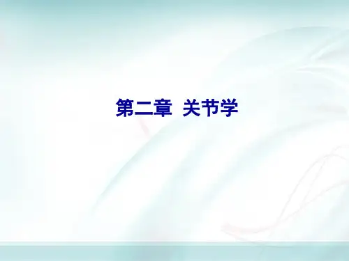 人体解剖学：第二章 关节学