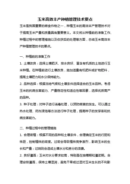 玉米高效丰产种植管理技术要点