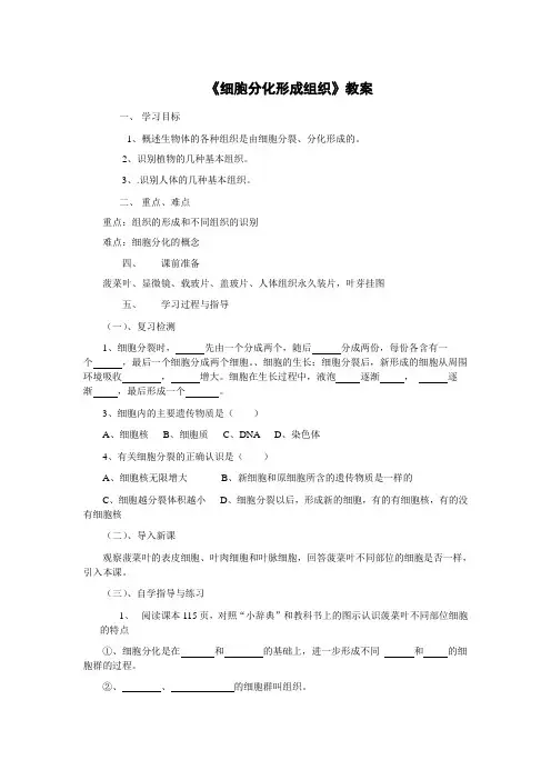 细胞分化形成组织教案