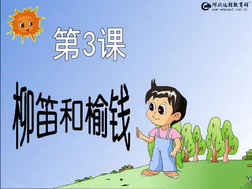 三下《柳笛和榆钱》课件1