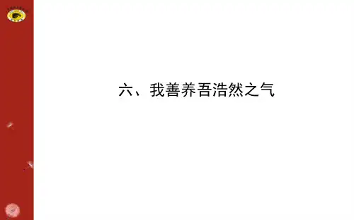 我善养吾浩然之气(简洁实用)  ppt课件