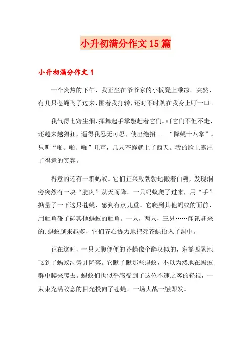 小升初满分作文15篇